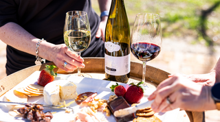 Two people enjoying a wine and cheese platter outdoors with a bottle of wine and two glasses.