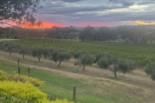 Barossa-valley-vintage-2026