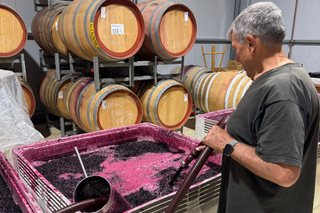 Barossa-valley-vintage-2026
