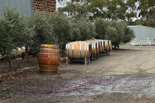 Barossa-valley-vintage-2026