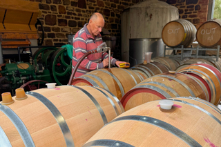 Barossa-valley-vintage-2026