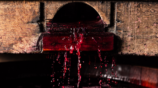 Premium Barossa Valley Wine