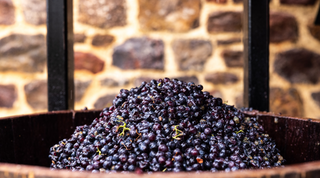 Premium Barossa Valley Winery